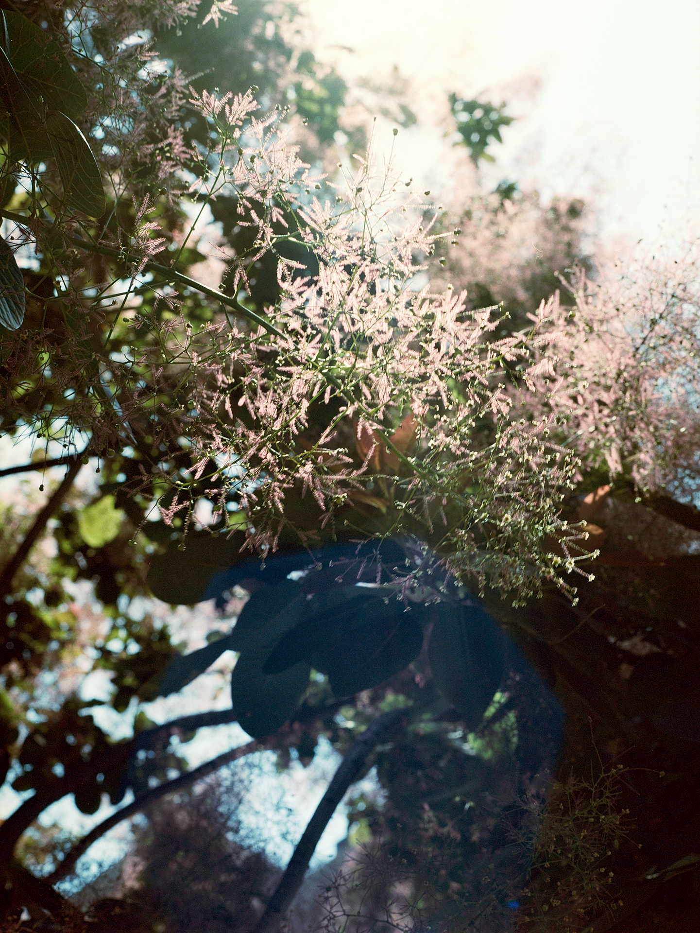 Annika Nagel Photography